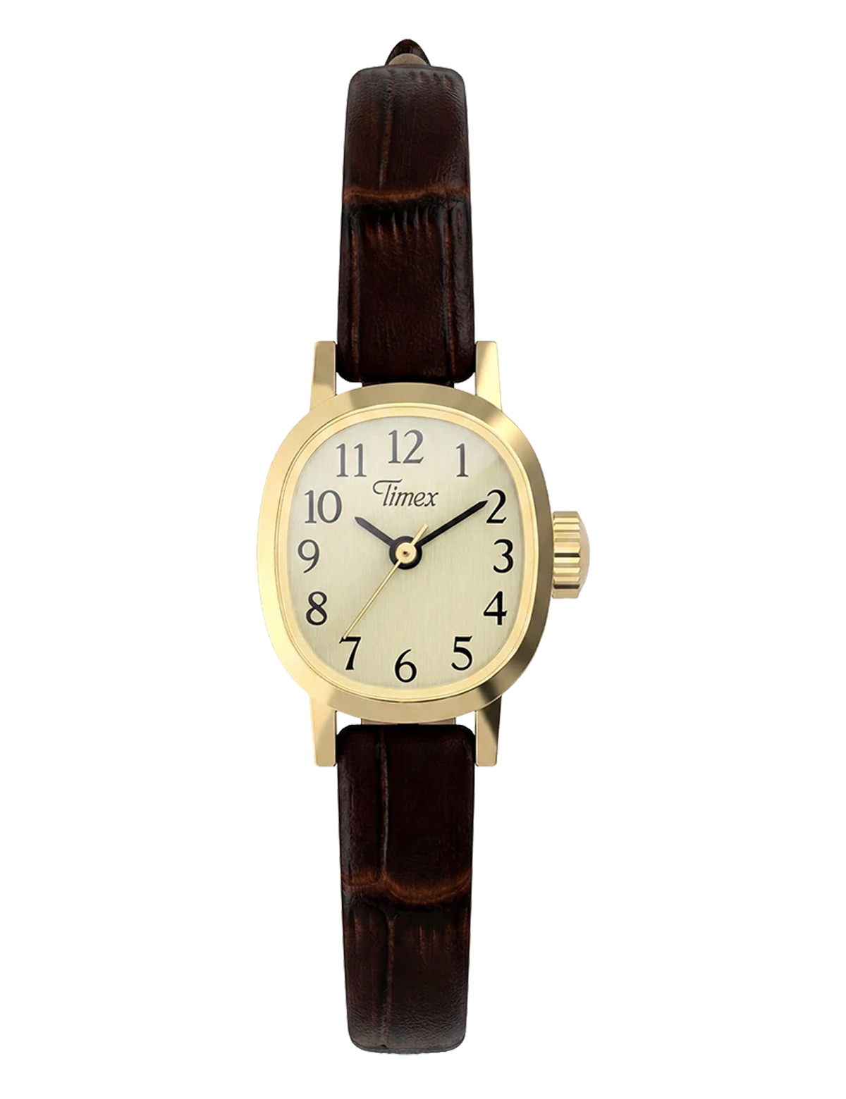TIMEX CAVATINA MINI TW2Y877