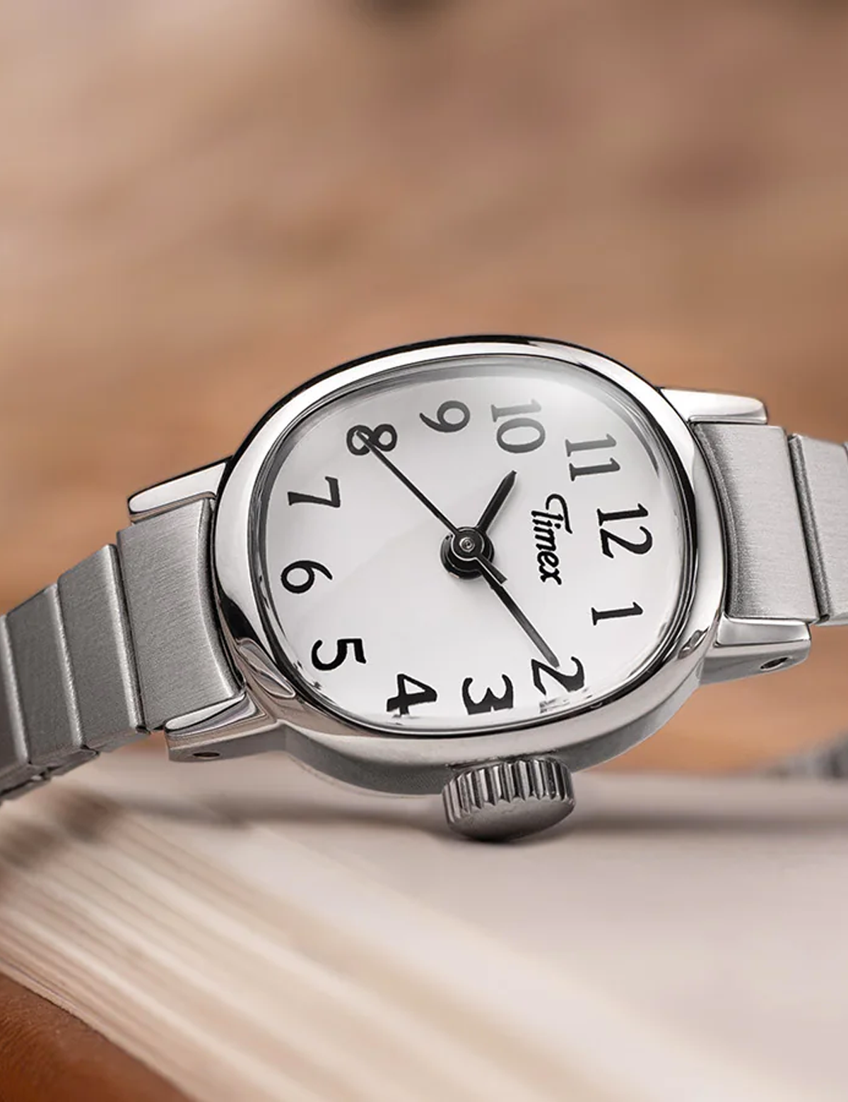TIMEX CAVATINA MINI SILVER TW2Y473