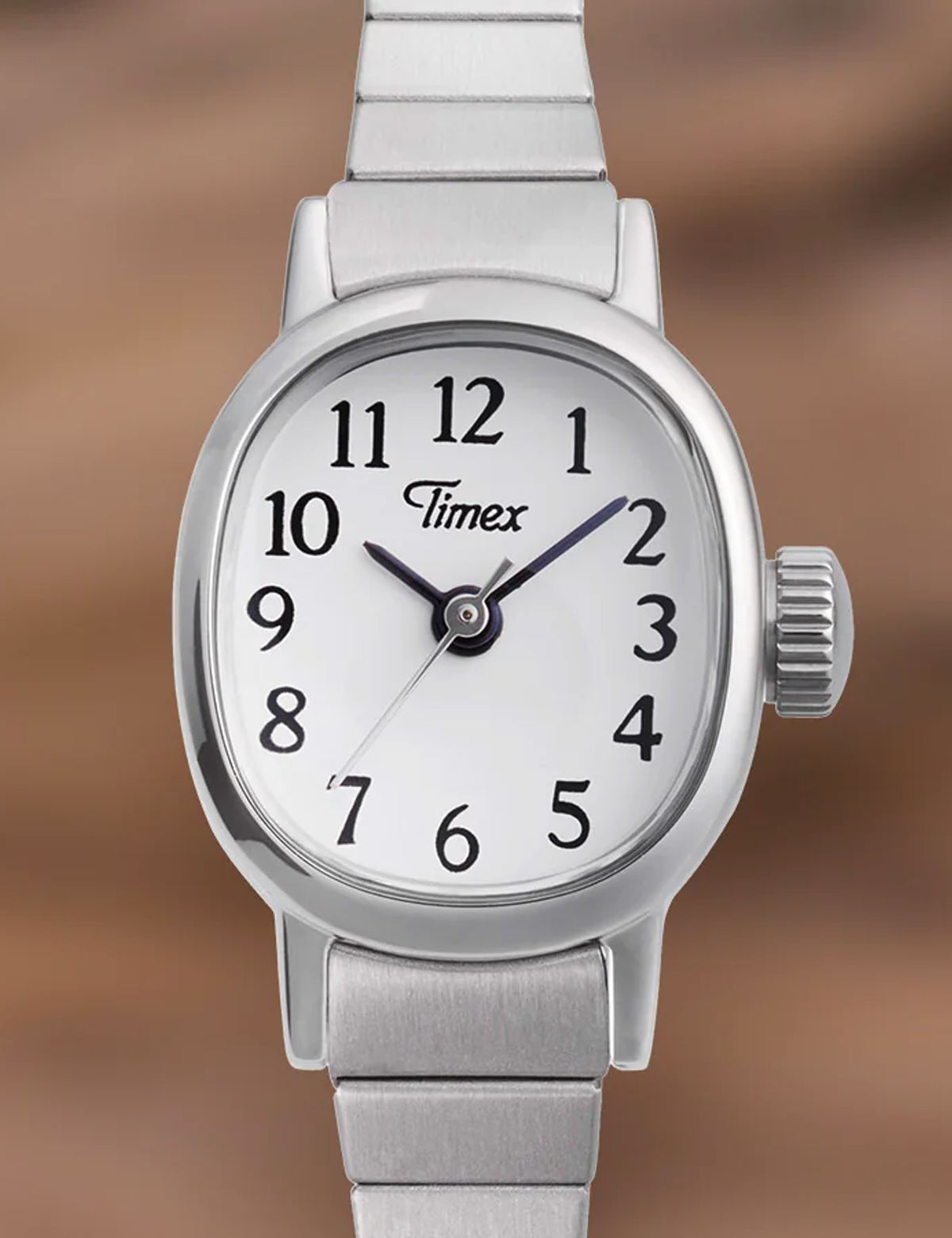 TIMEX CAVATINA MINI SILVER TW2Y473