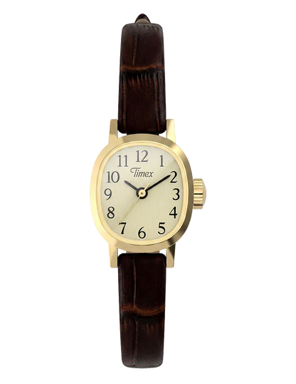 TIMEX CAVATINA MINI TW2Y877