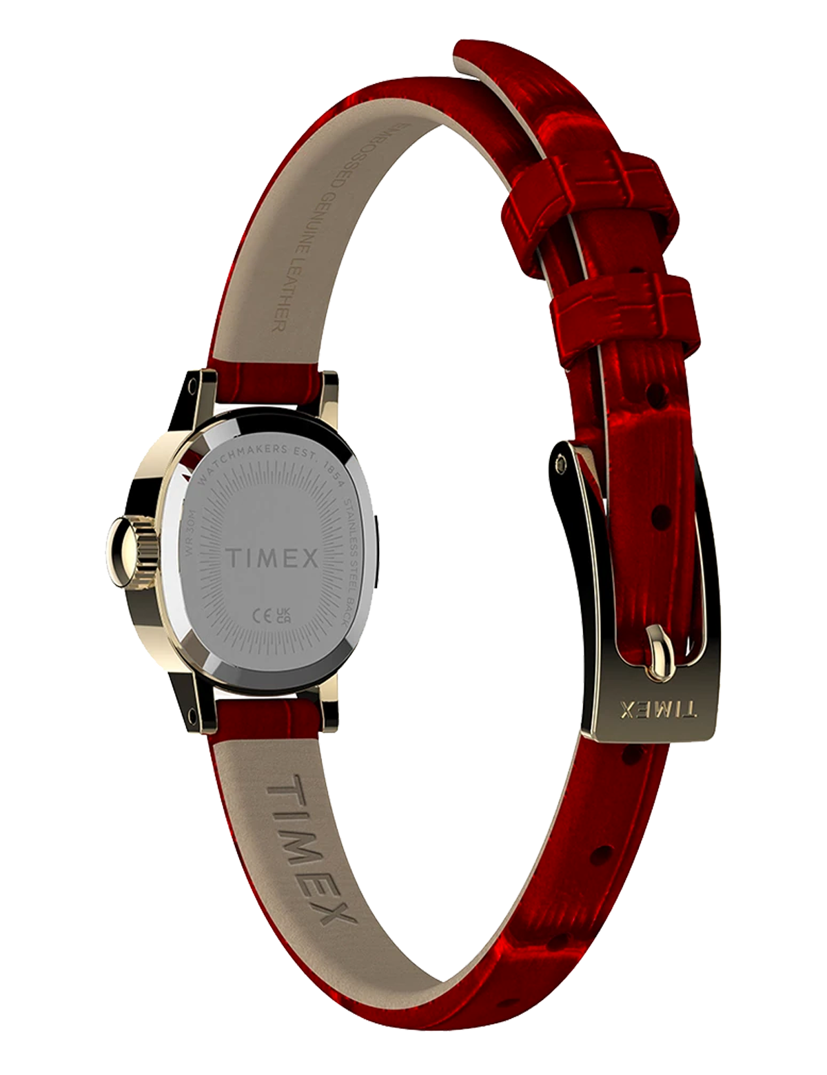TIMEX CAVATINA MINI TW2Y879