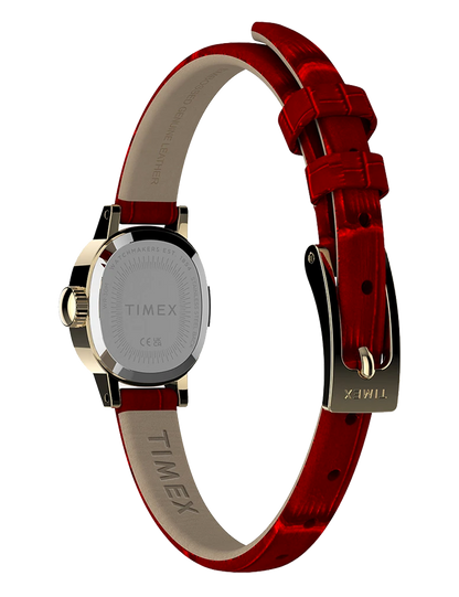 TIMEX CAVATINA MINI TW2Y879