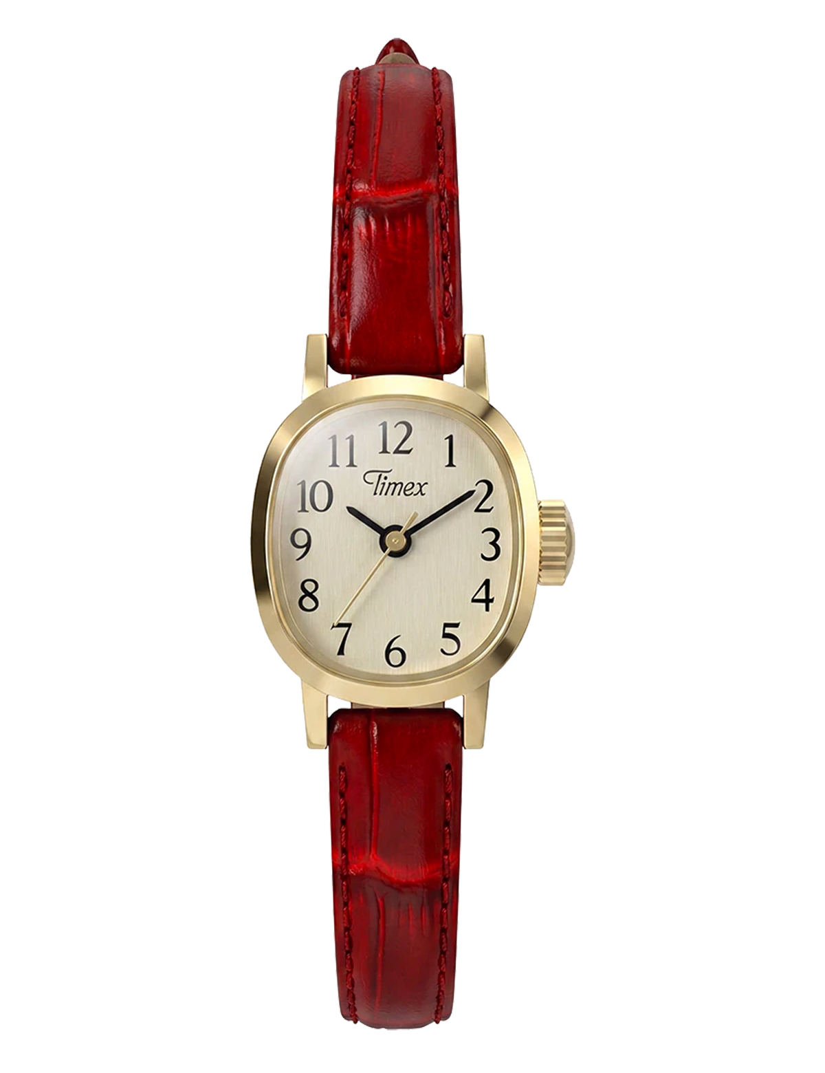 TIMEX CAVATINA MINI TW2Y879