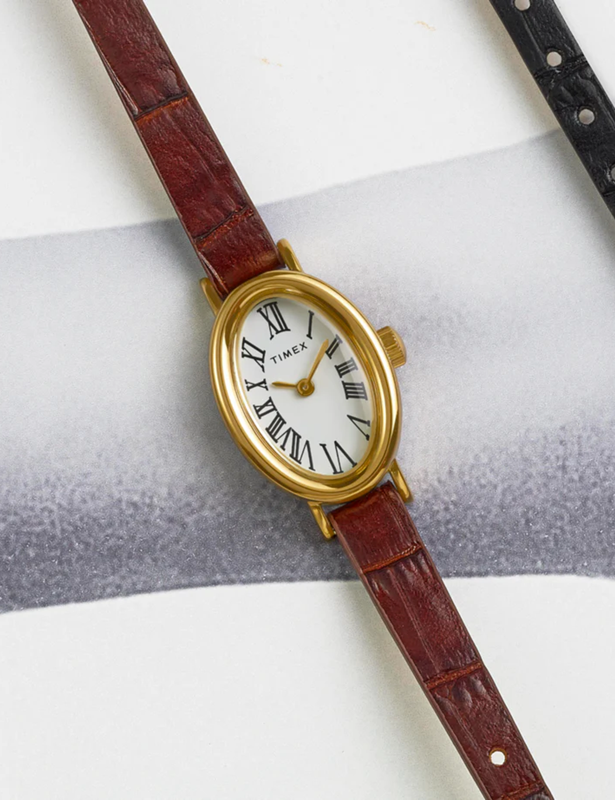 TIMEX CAVATINA TW2W785