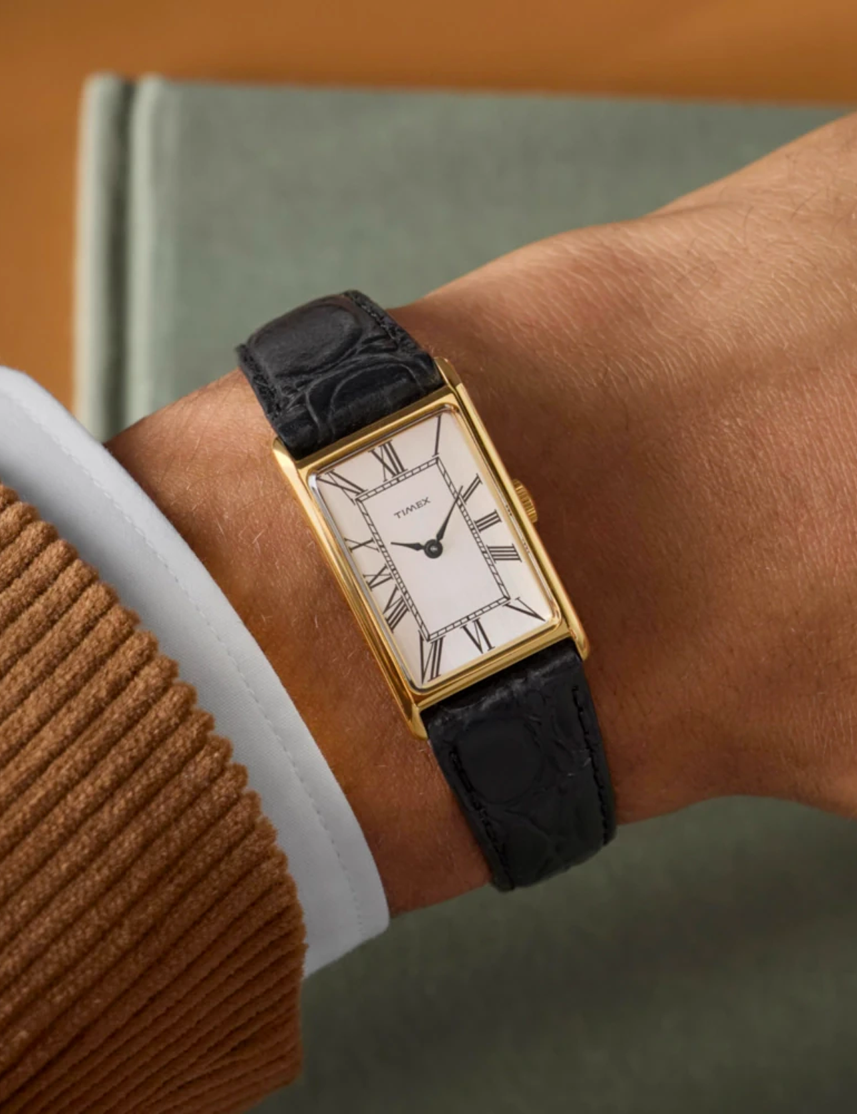 TIMEX LAB LEXINGTON 1976 REISSUE TW2Y562