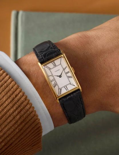 TIMEX LAB LEXINGTON 1976 REISSUE TW2Y562