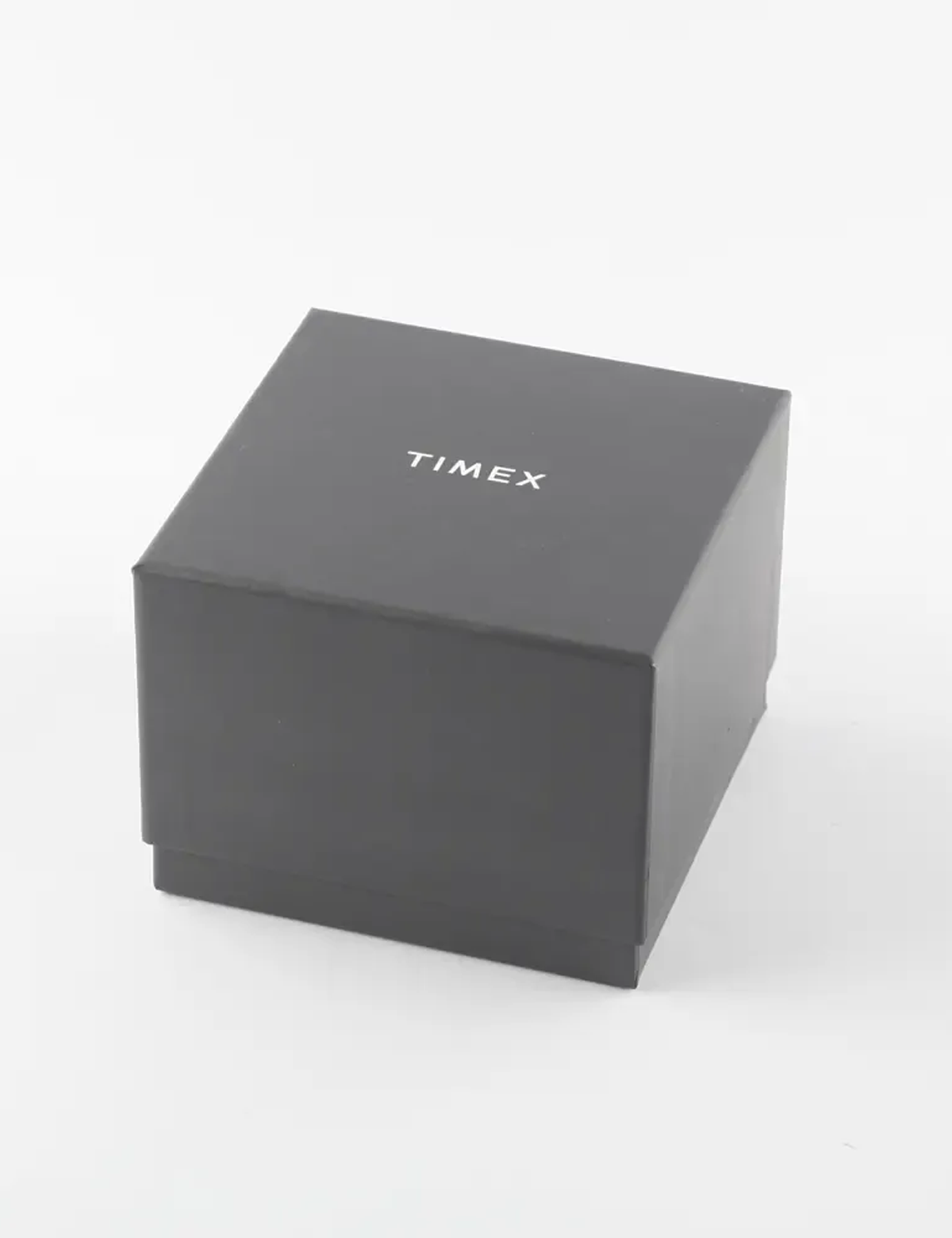 TIMEX X SNOOPY SKI TW2Y768