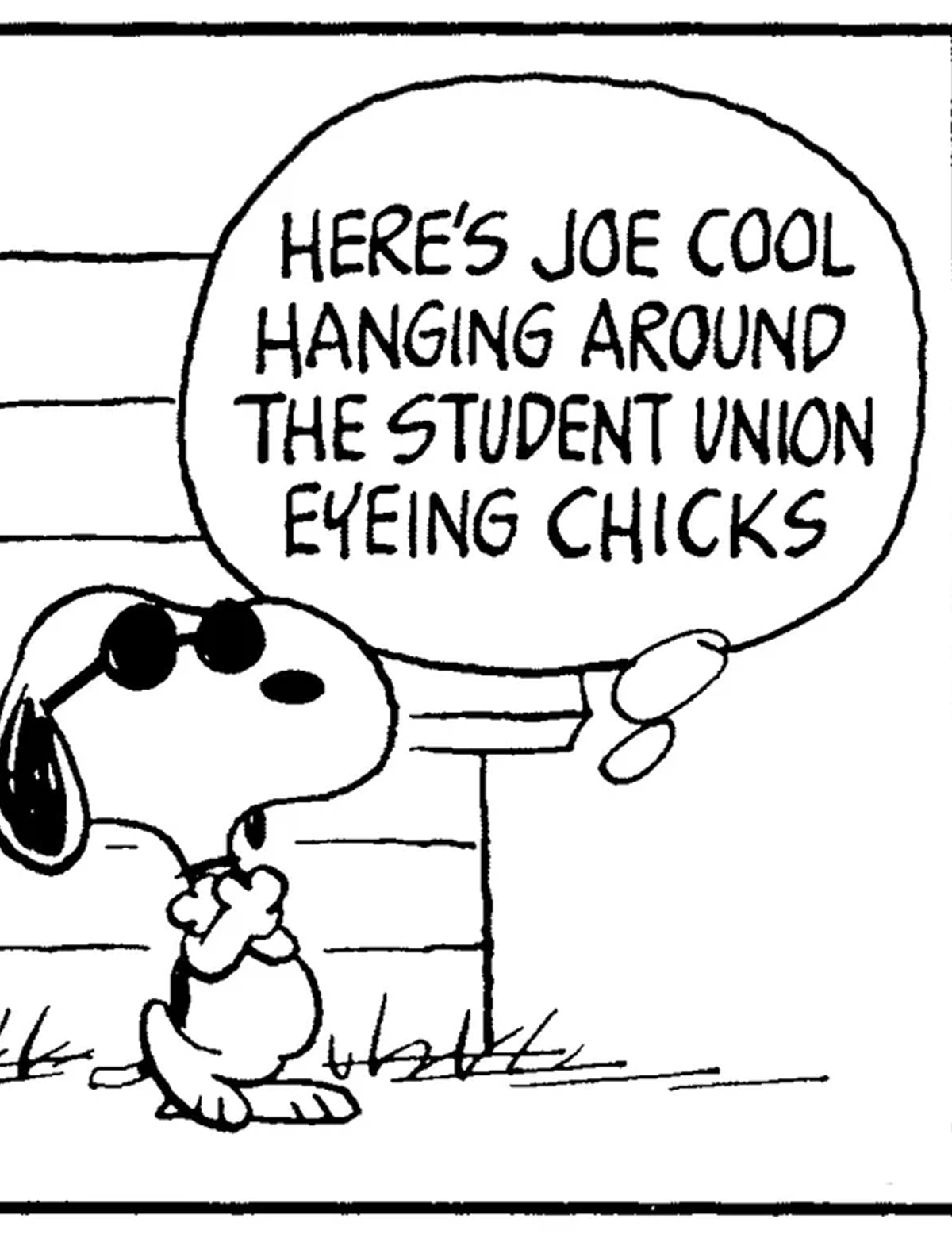 Timex X Peanuts Weekender Joe Cool